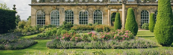 Rose garden 1920x920